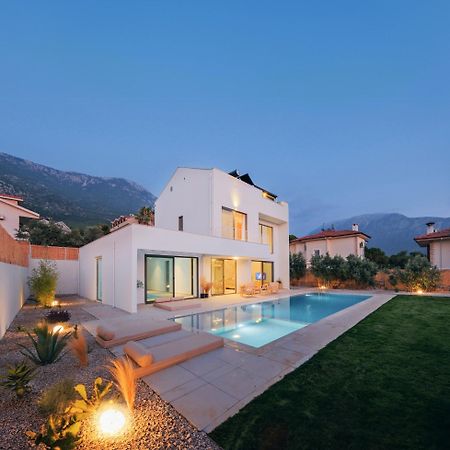 Villa Neo With 2 Private Pools, Bbq, Jacuzzi And Sauna فتحية المظهر الخارجي الصورة