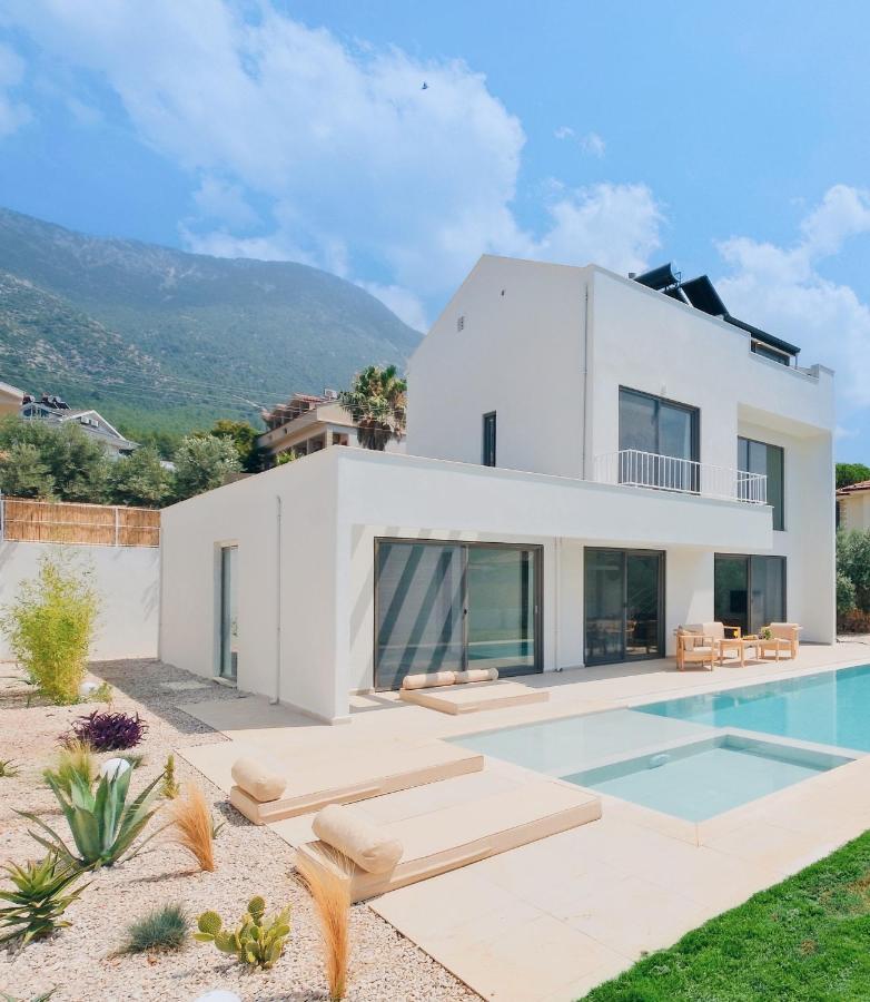 Villa Neo With 2 Private Pools, Bbq, Jacuzzi And Sauna فتحية المظهر الخارجي الصورة